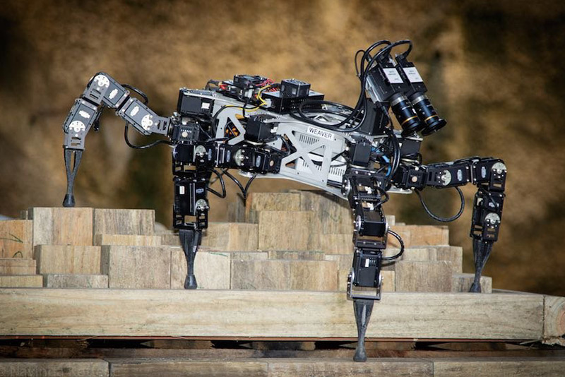 hexapod robot